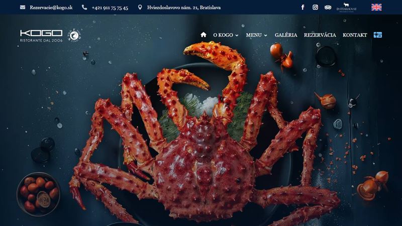 ba_node_1735308543 Kogo