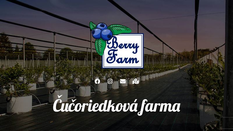 Berry Farm - Čučoriedková farma