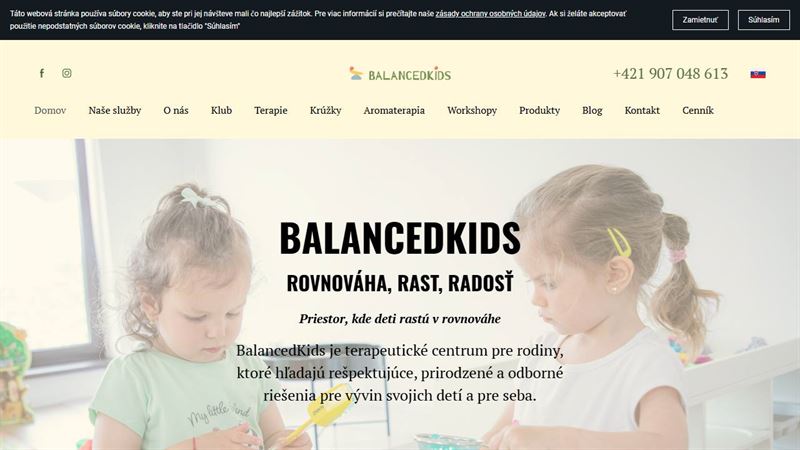 tt_node_13279639563 BalancedKids
