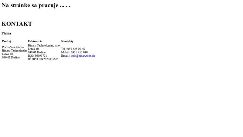 website_00067 Binary Technnologies