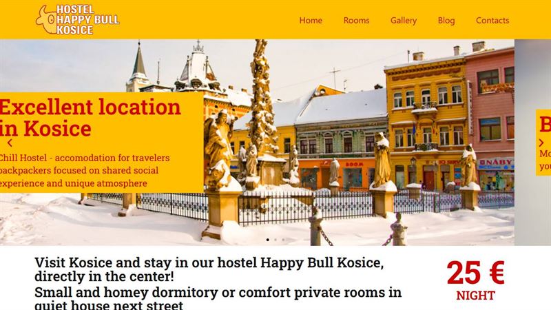 Hostel Happy Bull