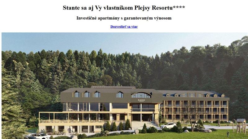 website_01162 Hotel Plejsy